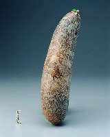 藏品(垂型葫蘆雕刻)的圖片